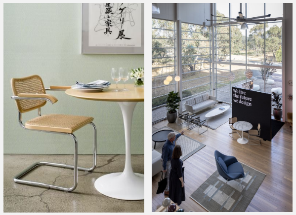Cesca chair and Designcraft showroom
