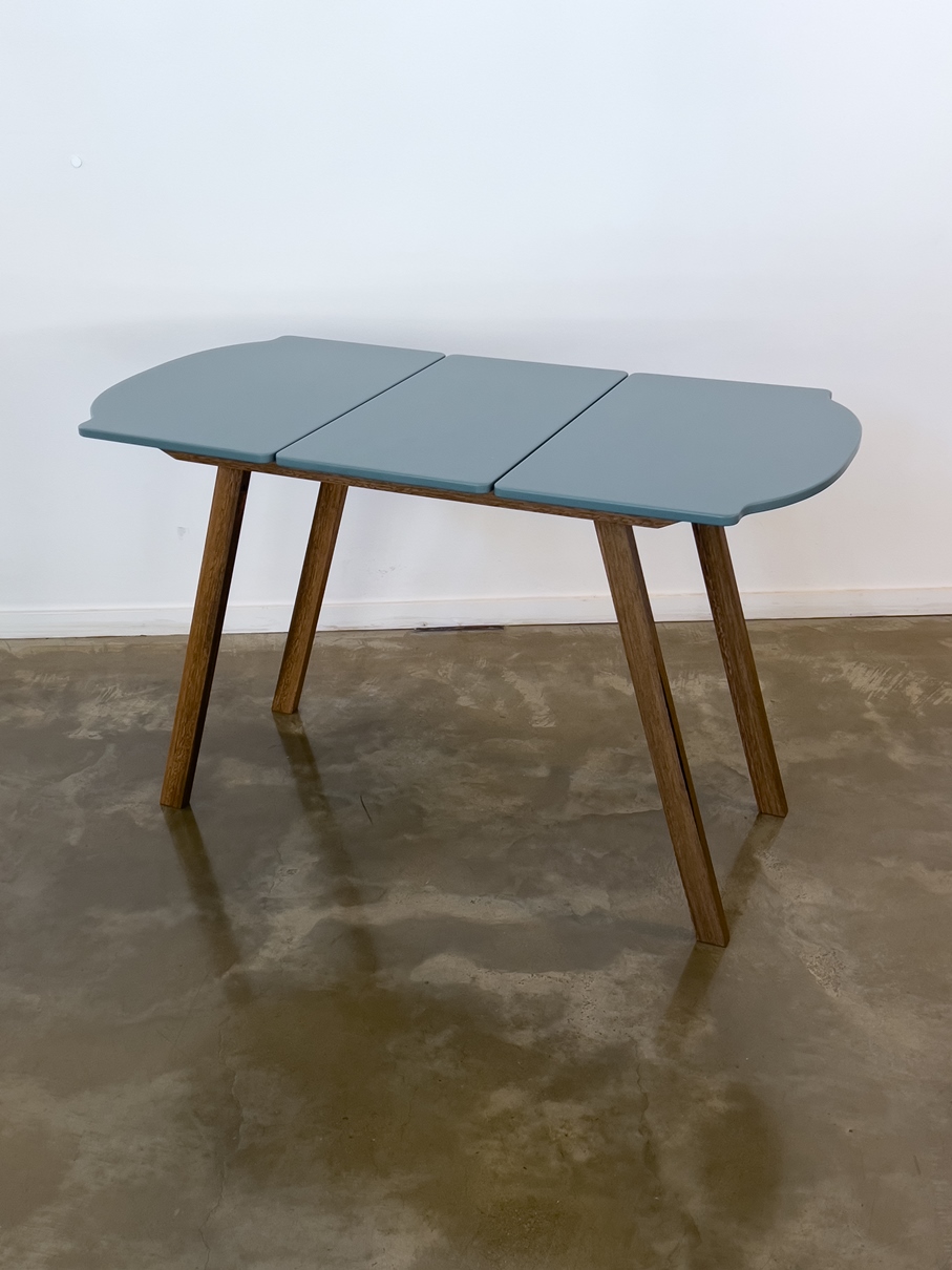 Turtle Table by Gideon Snowdon