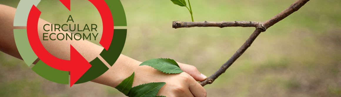 A Circular Economy A Circular Economy