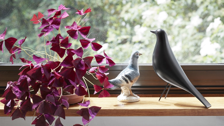 Eames House Bird designed by Charles and Ray Eames, Eames House Bird by Vitra available at designcraft Canberra