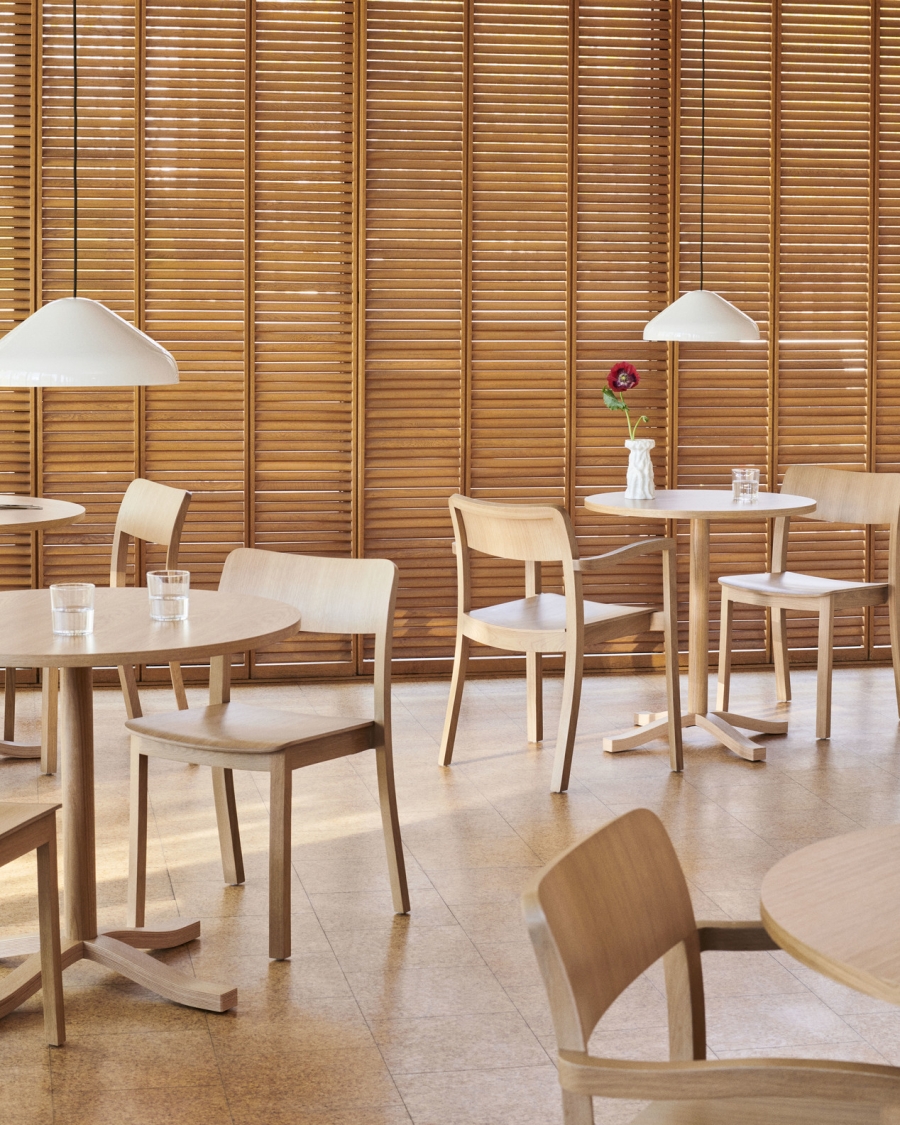 Pastis Chair designed by Julien Renault for HAY, Hay Pastis Dining Chair 