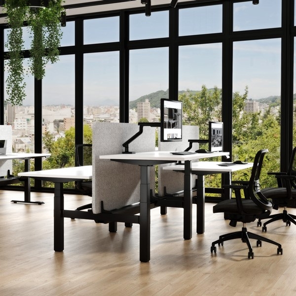 Office 2 ENV4B ENV4 Electric Adjustable Desk by Elevar