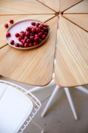 Petal Table designed by Richard Schultz, Knoll Petal Coffee Table