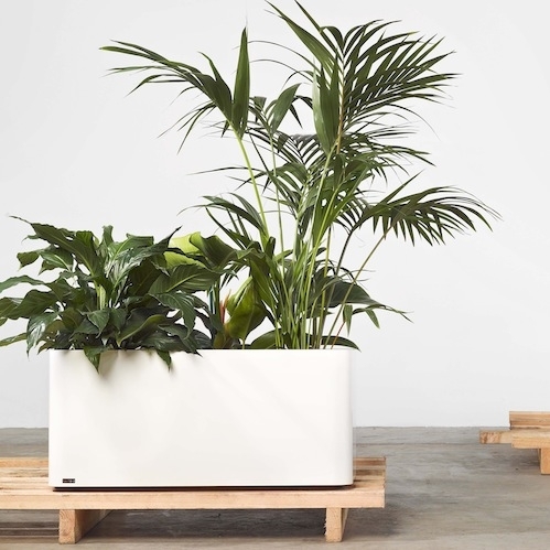 Tait_Softline_Planter_11-499x499.jpg Thumbnail