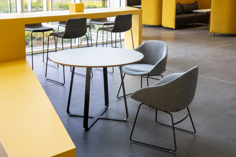 Frog Table by Naughtone 