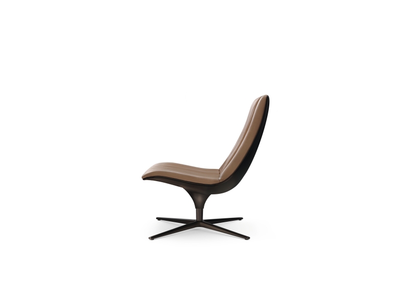 Healey Lounge Chair by Walter Knoll